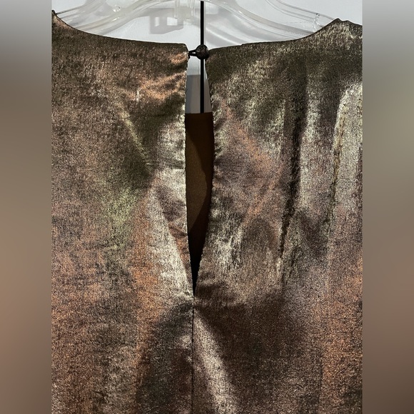 Metallic Gold/Bronze Ruffle Dress - Picture 5 of 6